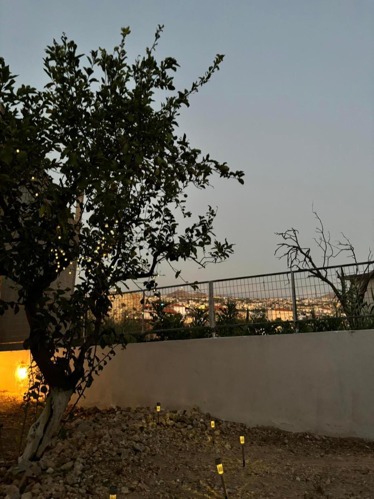 Bibliotheque Vintage Studio & Easy Garden Heraklion Exteriör bild
